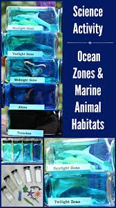 Marine Biology Science Fair Projects Science Activity For Kids Ocean Zones Animal Habitats Ocean Zones Science Activities For Kids Science Activities
