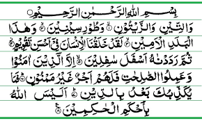 Pohon buah tin sudah ditanam sejak 4.000 tahun lebih. Al Qur An Hadits Untuk Mi Kelas 3 Surat At Tin