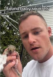 Escenas increíbles de ardillas en el jardín