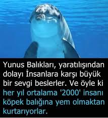 Gulsum Tamsen Adli Kullanicinin Ilginc Bilgiler Panosundaki Pin Bilgi Alintilari Bilgi Gizli Bilgi