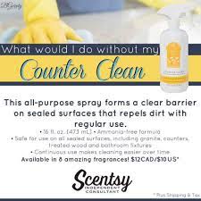 You will love our multipurpose spray. Product Review Scentsy Counter Clean The Scent Goddess