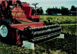 Young pods may also be harvested and cooked as green pinto beans. Pdf Development Of A New Crop Lifter For Direct Cut Harvesting Dry Bean Semantic Scholar