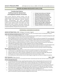 The Top 4 Executive Resume Examples Written By A Professional Recruiter Executive Resume Template Executive Resume Resume Examples