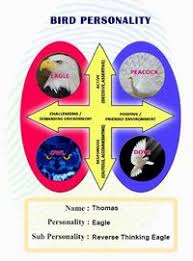 Take the free disc personality test below. Bird Personality Test Disc Personality Test