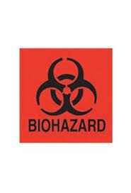 Bio Restore24 Biorestore24 - Profile Pinterest