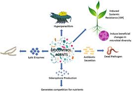 Pesticides in pmi, once the effects of biological control show the. Biological Control Agents Diversity Ecological Significances And Biotechnological Applications Springerlink