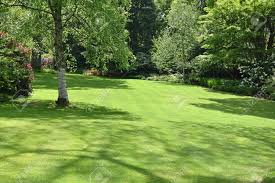Shrubs add beauty, texture, and structure to your lawn. A Perfect English Country Garden With Manicured Lawn And Floral Stock Photo Picture And Royalty Free Image Image 117183355