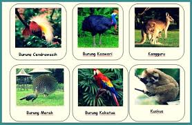 Persebaran Fauna Di Indonesia Bagian Barat Timur Tengah