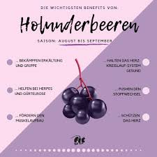 Dabei muss man jedoch beachten, dass es ohne blüten keine früchte gibt. Holunderbeeren Gesunde Kraftpakete Fur Das Immunsystem