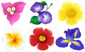 Maybe you would like to learn more about one of these? Different Types Of Flowers On White Illustration Royalty Free Cliparts Vectors And Stock Illustration Image 69835359