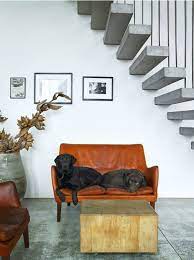 Labs Chocolatelabs Stairs Choppingblock Interior Design Home Home Decor