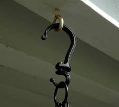 Hanging Plant Swivel Hook Kinsman Garden Co Hanging Plants Hang Plants From Ceiling Hanging Baskets