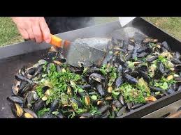 Plusieurs Recettes De Moules A La Plancha Avec La Video Moules A La Mariniere Moules A La Basquaise Moule En 2020 Moules Plancha Cuisine A La Plancha Recette Moules