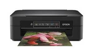 In installed the drivers from a terminal using the install script here: Epson Xp 245 Treiber Scannen Drucker Download