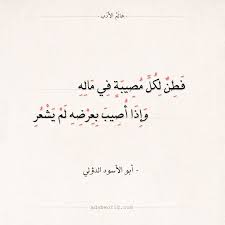شعر أبو الأسود الدؤلي فطن لكل مصيبة في ماله عالم الأدب words quotes arabic calligraphy