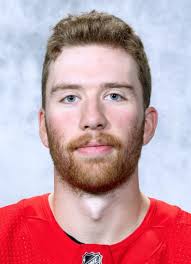 Player photos for the 2019-20 Moncton Wildcats at hockeydb.com