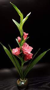日本dip水晶花 高級認證花藝 劍蘭 唐菖蒲 グラジオラス plants