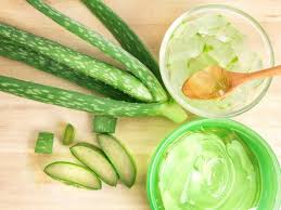 How To Make Aloe Vera Gel From Fresh Aloe Vera Leaves Organic Facts Recipe Strawberry Legs Get Thicker Hair Pimple Marks