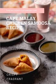 Scrumptious Chicken Samoosa Recipe 2 Ways Tantalise My Taste Buds Recipe In 2020 Dinner Recipes Easy Family Picky Eater Recipes Recipes