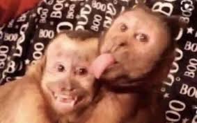 Your girlfriend and her babydaddy, after she went back to him, and you're  video calling her to ask for the phone you bought for her.