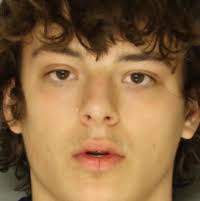 2nd man gets life in prison after pleading guilty to slaying Lancaster  brothers in brutal home invasion