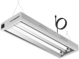 The best solution for your plant's growth is the fluorescent grow lights. Amazon Com Vivosun 6500k 2ft T5 Ho Fluorescent Grow Light Fixture For Indoor Plants Ul Listed High Output Fluorescent Tubes 2 Bulbs Home Improvement