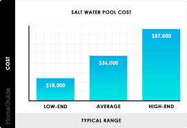 2019 salt water pool costs converting chlorine pool to