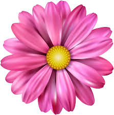 What kind of flower is a pink flower? Pink Flower Transparent Image Gallery Yopriceville High Quality Images And Transparent Png Free Clipart