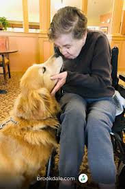 A New Friend Came To Visit Residents At Brookdale Springmeadows Luckily He Fits Right In In 2020 Senior Care Senior Living Communities Brookdale Senior Living