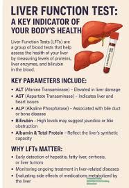 Image result for Liver Function Test