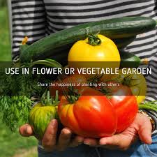 Check spelling or type a new query. Invisible Dog Fence Irrigation Tubing Soaker Hose Ground Cover Vivosun 50 Pcs 6 Garden Stakes Landscape Staples Lawn Drippers Sturdy Gardening Supplies For Weed Barrier Fabric Garden Stakes Patio Lawn Garden