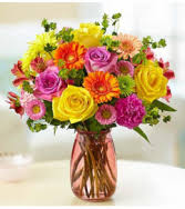 Also known as 'monterrey oak,' this species is rapidly becoming used as an urban landscape tree. White Oak Tx Flower Shops Local White Oak Florists Flower Shop Network