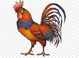 Clker com vector clip art download now ayam transparent background png cliparts free download download now gudang pertanian ayam jago gambar vektor. Chicken Cartoon