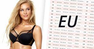 For instance, you might go from a 36 c to a 38 b. European Eu International Int Bra Sizes In Centimeters And Inches