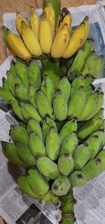 Tekstur pisang goreng madu crispy atau renyah di luar, tetapi lembut di bagian dalam. Ruhaimi Rahim On Twitter Pisang Awak Pisang Ni Sesuai Buat Goreng Ja Rata2 Hangpa Beli Goreng Pisang Pakai Pisang Awak La Ada Dua Jenis Awak Kampung Penuh Biji Awak Legor Yg Standard