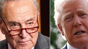 Amelia Carney's Instagram, Twitter & Facebook