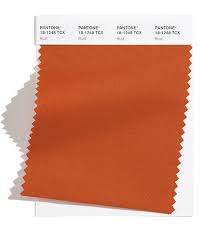 Published for the fashion industry by the pantone color institute, the trend. Fashion Color Trend Report New York Fashion Week Spring Summer 2021 Pantone
