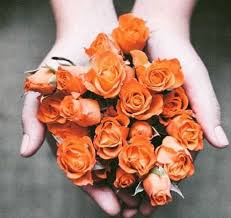 Maybe you would like to learn more about one of these? Maksud Warna Bunga Ros Dalam Perhubungan Sentiasa Panas