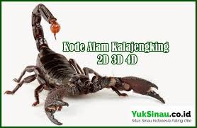 1.1.1 erek erek 2d lengkap. Kode Alam Kalajengking 2d 3d 4d Erek Erek Dan Primbon