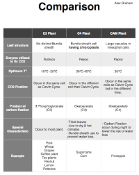 C3 Vs C4 Vs Cam