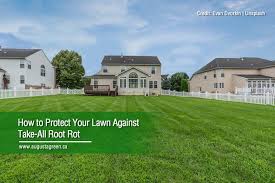 Boboo sprinkler, rotating lawn sprinkler, large area coverage sprinklers for lawn and garden, 3000 square feet water sprinklers, adjustable angle yard sprinkler. How To Protect Your Lawn Against Take All Root Rot Augusta Green Sprinklers Inc