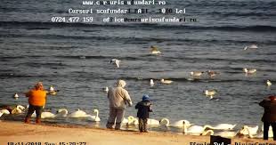 Lista unitatilor de cazare din eforie nord. Imagini Live Eforie Nord Plaja