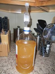 How To Make Easy Homemade Apple Wine Delishably Food And Drink