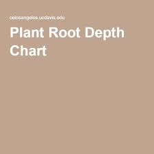 Plant Root Depth Chart Depth Chart Chart Plants
