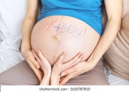 Pregnant Belly Twins Images Stock Photos Vectors Shutterstock