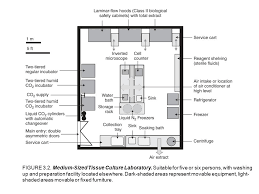 We did not find results for: Figure Small Tissue Culture Laboratory Ppt Video Online Download