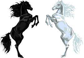 Horse Images Free Download Horse Png Horse Clipart Transparent Black Horse White Horse Horses
