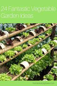 24 Fantastic Backyard Vegetable Garden Ideas Backyard Vegetable Garden Ideas Lettuce Garden Ideas Vegetables