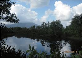 Jan 1, | rmk kajian ekosistem dan pemuliharaan tasik dan empangan air negara title, ekosistem tasik dan kolam (multimedia). Breath Taking View Of Tasik Berombak In Setiu Perhaps Once Was The Download Scientific Diagram