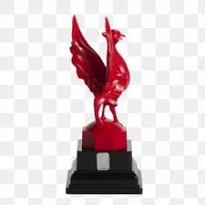 Anfield liver bird logo fa cup, liver, sport, chicken png. Liverpool F C Anfield Liver Bird Logo Fa Cup Png 1000x1799px Liverpool Fc Anfield Area Artwork Beak Download Free